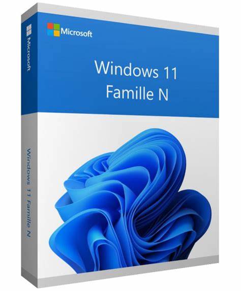Windows 11 Familial 64Bits Oem (Sans support d'installation)